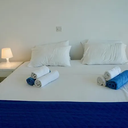 Narcissus 18 帕拉利米尼